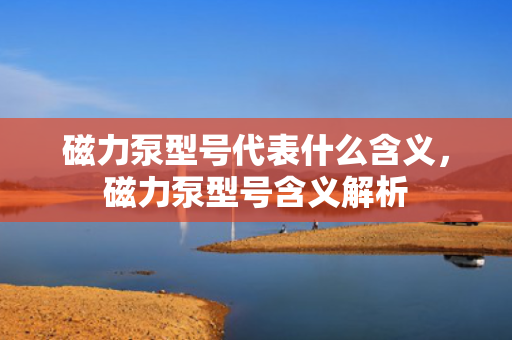磁力泵型号代表什么含义，磁力泵型号含义解析