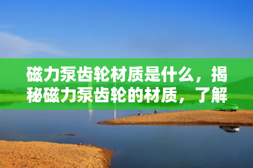 磁力泵齿轮材质是什么，揭秘磁力泵齿轮的材质，了解其核心构成材料