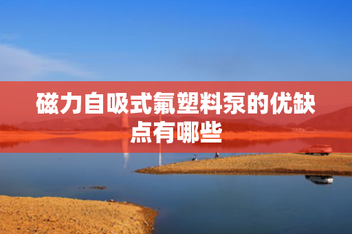 磁力自吸式氟塑料泵的优缺点有哪些