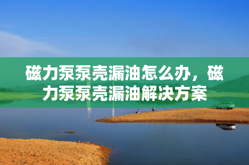 磁力泵泵壳漏油怎么办，磁力泵泵壳漏油解决方案