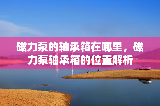 磁力泵的轴承箱在哪里，磁力泵轴承箱的位置解析