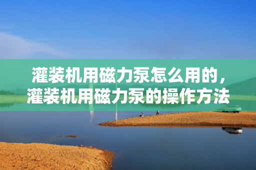 灌装机用磁力泵怎么用的，灌装机用磁力泵的操作方法与使用指南