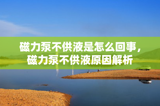 磁力泵不供液是怎么回事，磁力泵不供液原因解析