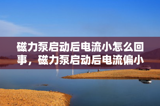磁力泵启动后电流小怎么回事，磁力泵启动后电流偏小原因解析