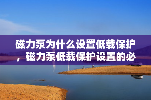 磁力泵为什么设置低载保护，磁力泵低载?；ど柚玫谋匾越馕? title=