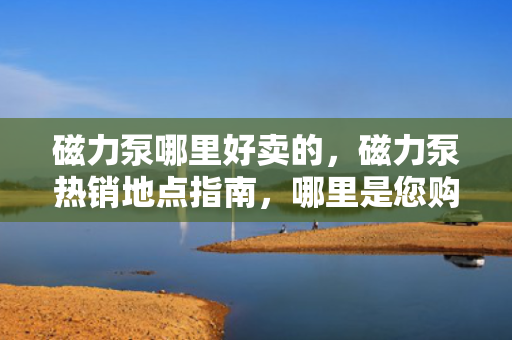 磁力泵哪里好卖的，磁力泵热销地点指南，哪里是您购买磁力泵的最佳选择？