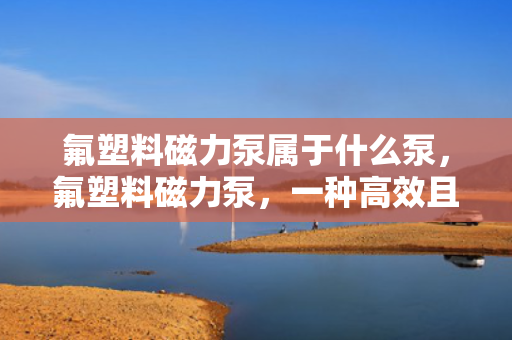 氟塑料磁力泵属于什么泵，氟塑料磁力泵，一种高效且耐腐蚀的特殊泵类