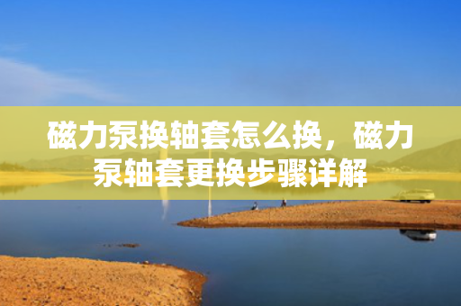 磁力泵换轴套怎么换，磁力泵轴套更换步骤详解