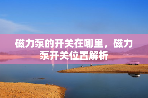 磁力泵的开关在哪里，磁力泵开关位置解析
