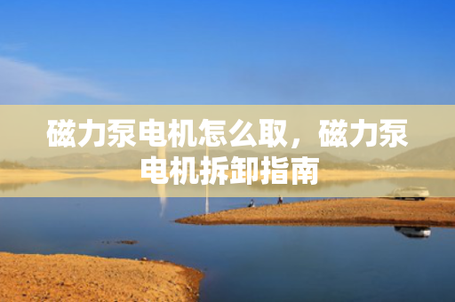 磁力泵电机怎么取，磁力泵电机拆卸指南