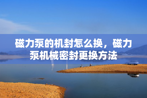 磁力泵的机封怎么换，磁力泵机械密封更换方法