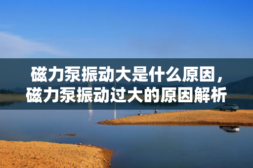 磁力泵振动大是什么原因，磁力泵振动过大的原因解析