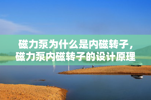 磁力泵为什么是内磁转子，磁力泵内磁转子的设计原理及其优势