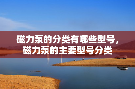 磁力泵的分类有哪些型号，磁力泵的主要型号分类