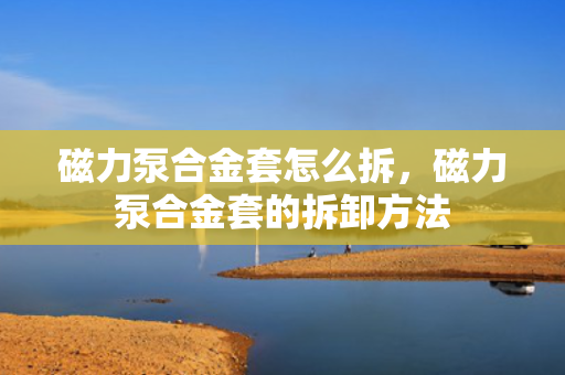 磁力泵合金套怎么拆，磁力泵合金套的拆卸方法
