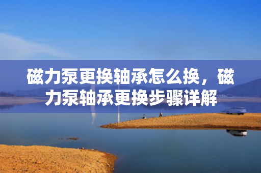 磁力泵更换轴承怎么换，磁力泵轴承更换步骤详解