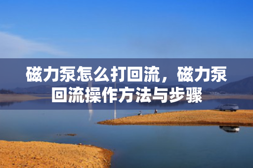 磁力泵怎么打回流，磁力泵回流操作方法与步骤