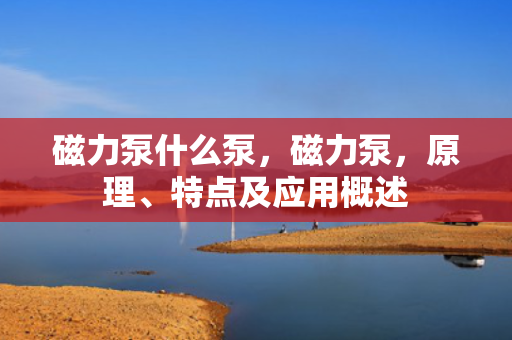 磁力泵什么泵，磁力泵，原理、特点及应用概述