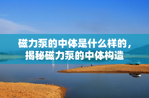 磁力泵的中体是什么样的，揭秘磁力泵的中体构造