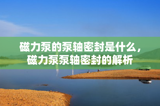 磁力泵的泵轴密封是什么，磁力泵泵轴密封的解析