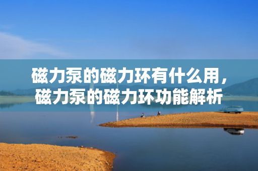 磁力泵的磁力环有什么用，磁力泵的磁力环功能解析