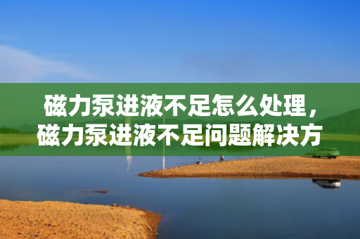 磁力泵进液不足怎么处理，磁力泵进液不足问题解决方案