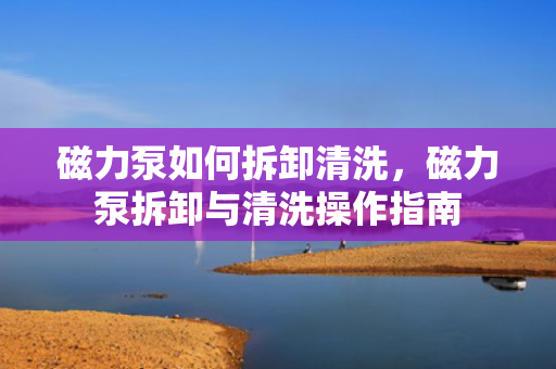 磁力泵如何拆卸清洗，磁力泵拆卸与清洗操作指南