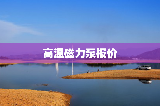 高温磁力泵报价