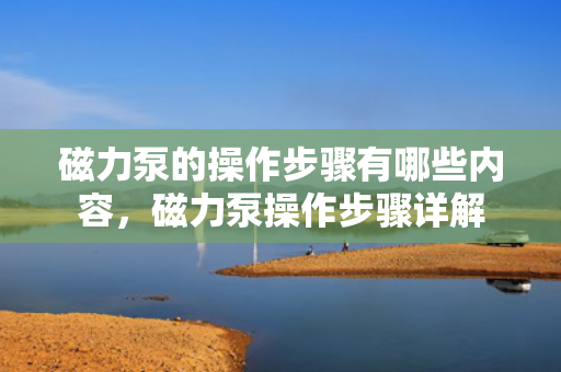 磁力泵的操作步骤有哪些内容，磁力泵操作步骤详解
