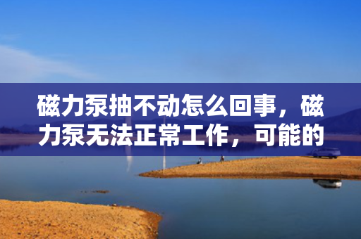 磁力泵抽不动怎么回事，磁力泵无法正常工作，可能的原因及解决方案