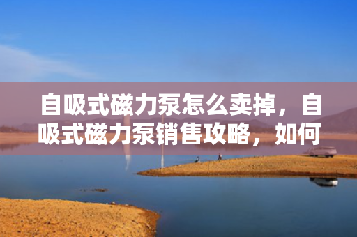 自吸式磁力泵怎么卖掉，自吸式磁力泵销售攻略，如何成功出售您的泵设备