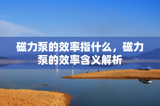磁力泵的效率指什么，磁力泵的效率含义解析