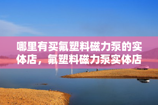 哪里有买氟塑料磁力泵的实体店，氟塑料磁力泵实体店购买指南
