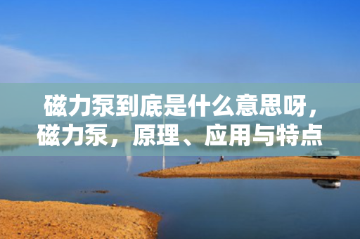 磁力泵到底是什么意思呀，磁力泵，原理、应用与特点解析
