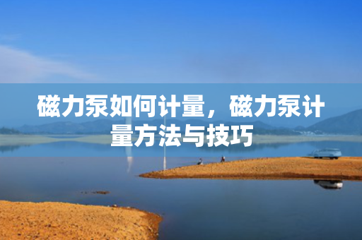 磁力泵如何计量，磁力泵计量方法与技巧