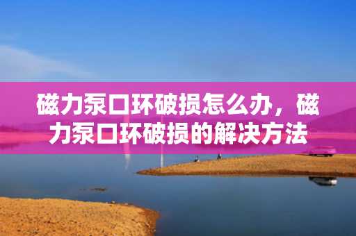 磁力泵口环破损怎么办，磁力泵口环破损的解决方法