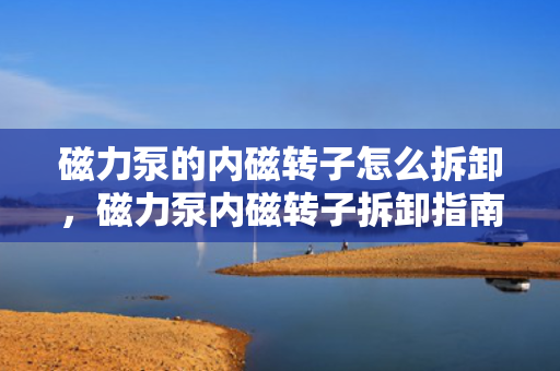 磁力泵的内磁转子怎么拆卸，磁力泵内磁转子拆卸指南