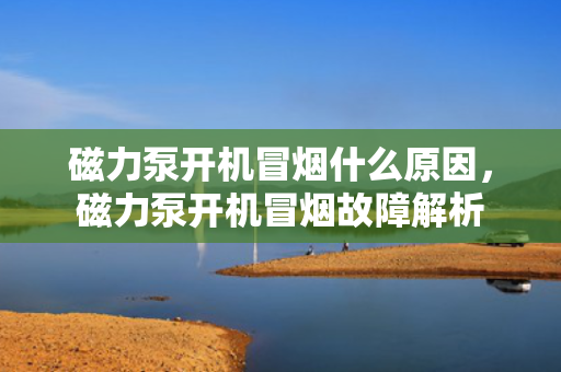 磁力泵开机冒烟什么原因，磁力泵开机冒烟故障解析
