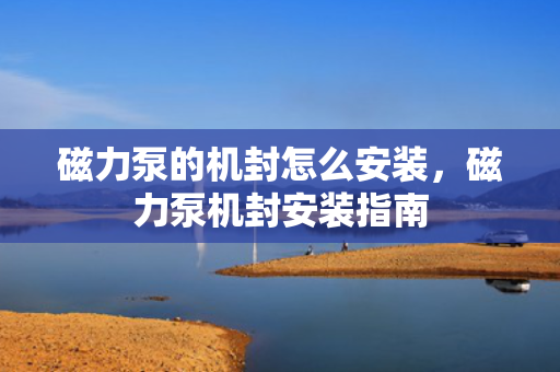 磁力泵的机封怎么安装，磁力泵机封安装指南