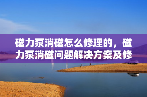 磁力泵消磁怎么修理的，磁力泵消磁问题解决方案及修理指南