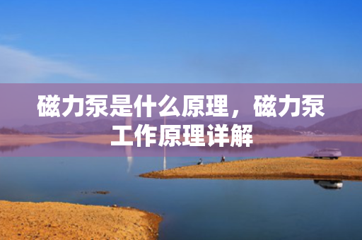 磁力泵是什么原理，磁力泵工作原理详解