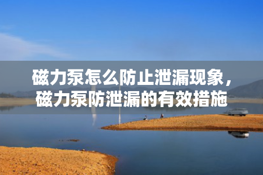 磁力泵怎么防止泄漏现象，磁力泵防泄漏的有效措施