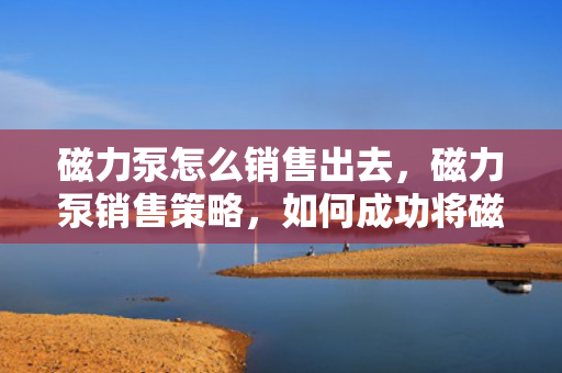 磁力泵怎么销售出去，磁力泵销售策略，如何成功将磁力泵销售出去