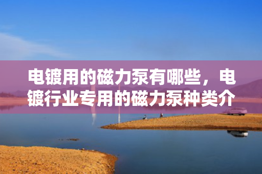 电镀用的磁力泵有哪些，电镀行业专用的磁力泵种类介绍