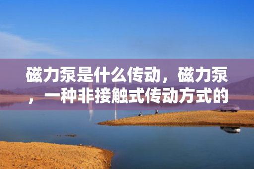 磁力泵是什么传动，磁力泵，一种非接触式传动方式的详解