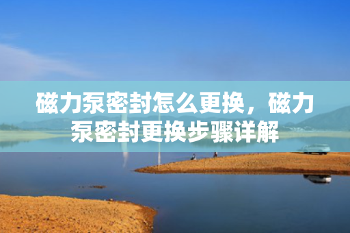 磁力泵密封怎么更换，磁力泵密封更换步骤详解