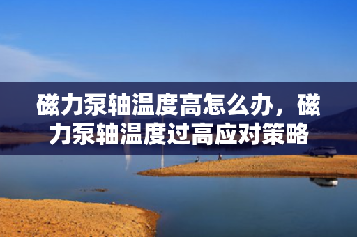 磁力泵轴温度高怎么办，磁力泵轴温度过高应对策略