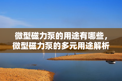 微型磁力泵的用途有哪些，微型磁力泵的多元用途解析