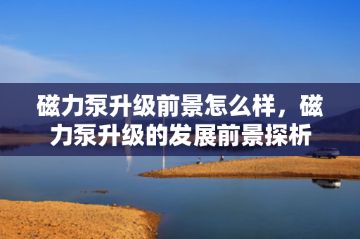 磁力泵升级前景怎么样，磁力泵升级的发展前景探析