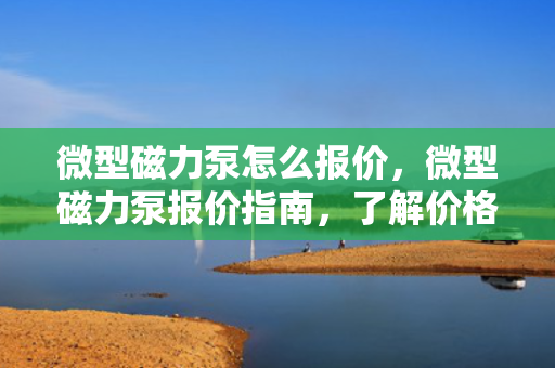 微型磁力泵怎么报价，微型磁力泵报价指南，了解价格因素与报价流程